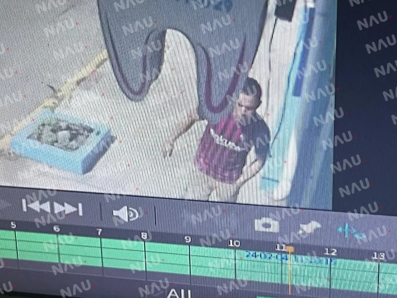 Captan a delincuente robando en un automóvil