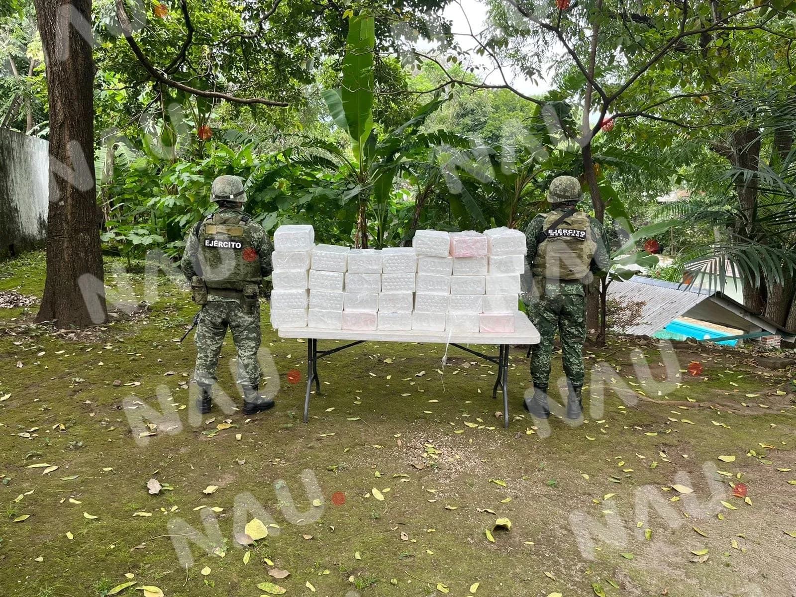 10 millones 200 mil dólares costaba la droga asegurada por la SEDENA en Chiapas