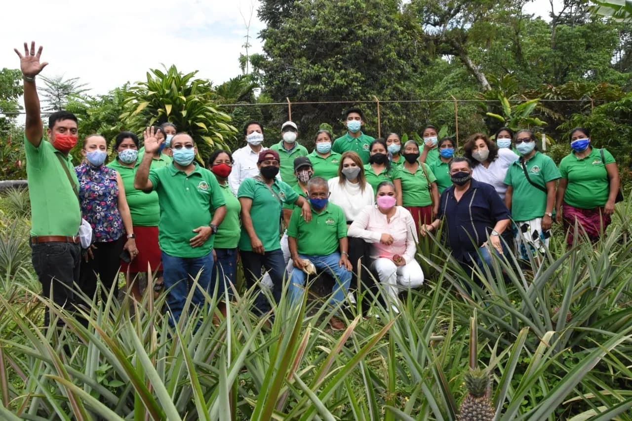 ALCALDESA ROSY URBINA GESTIONARÁ CERTIFICACIÓN ORGÁNICA PARTICIPATIVA PARA PRODUCTORES DE LA REGIÓN