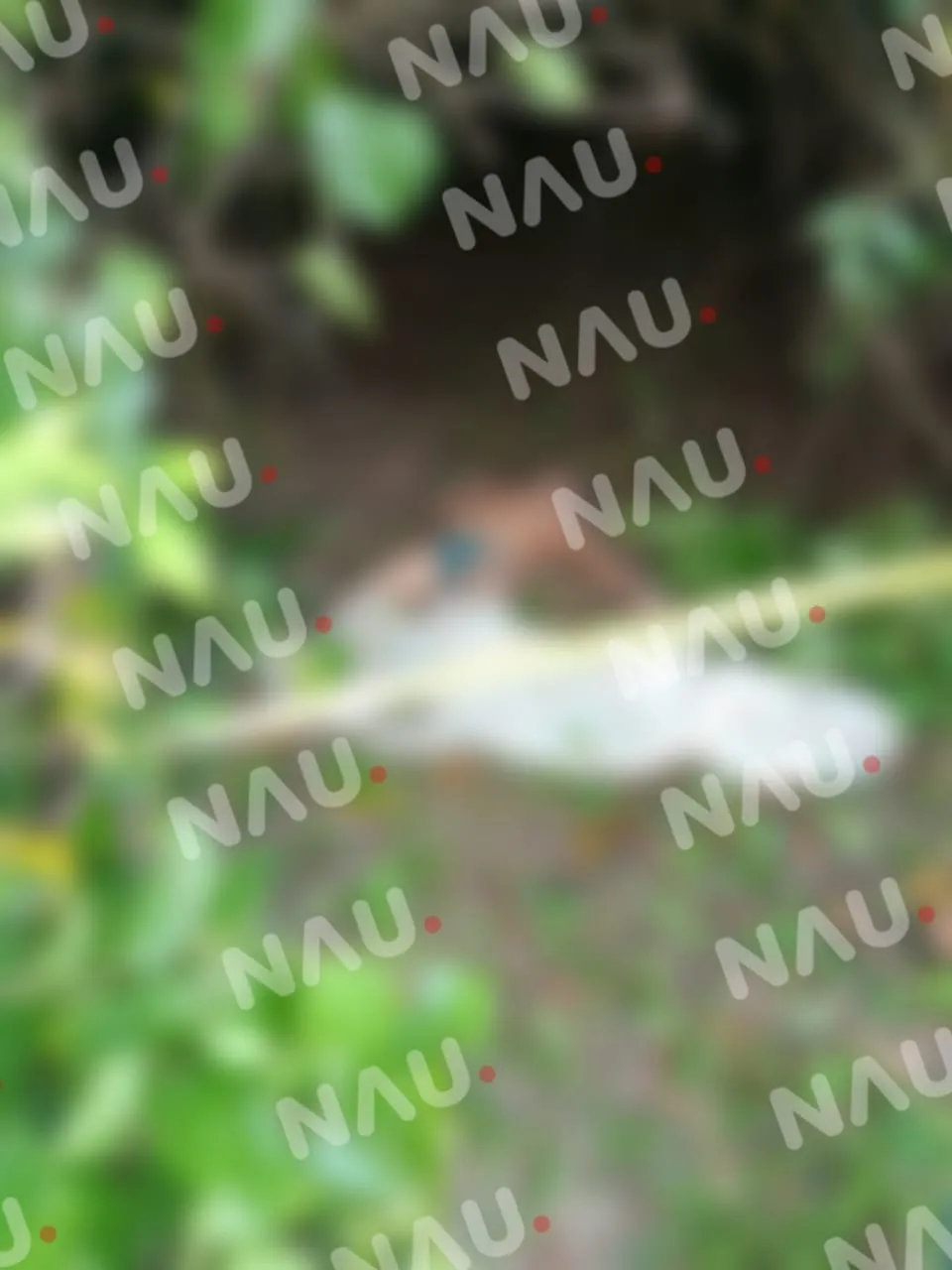 Fue a pescar y falleció ahogado en el río Suchiate