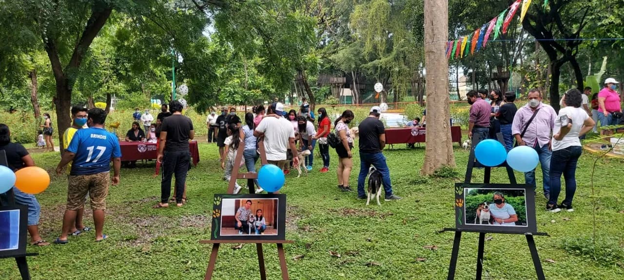 AYUNTAMIENTO DE TAPACHULA REALIZA FERIA DE ADOPCIONES DE MASCOTAS