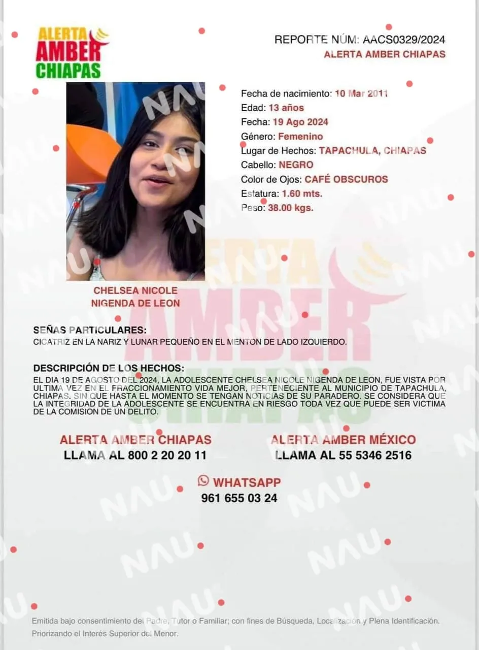 Solicitan Ayuda para Localizar a Menor de 13 Años Desaparecida en Tapachula