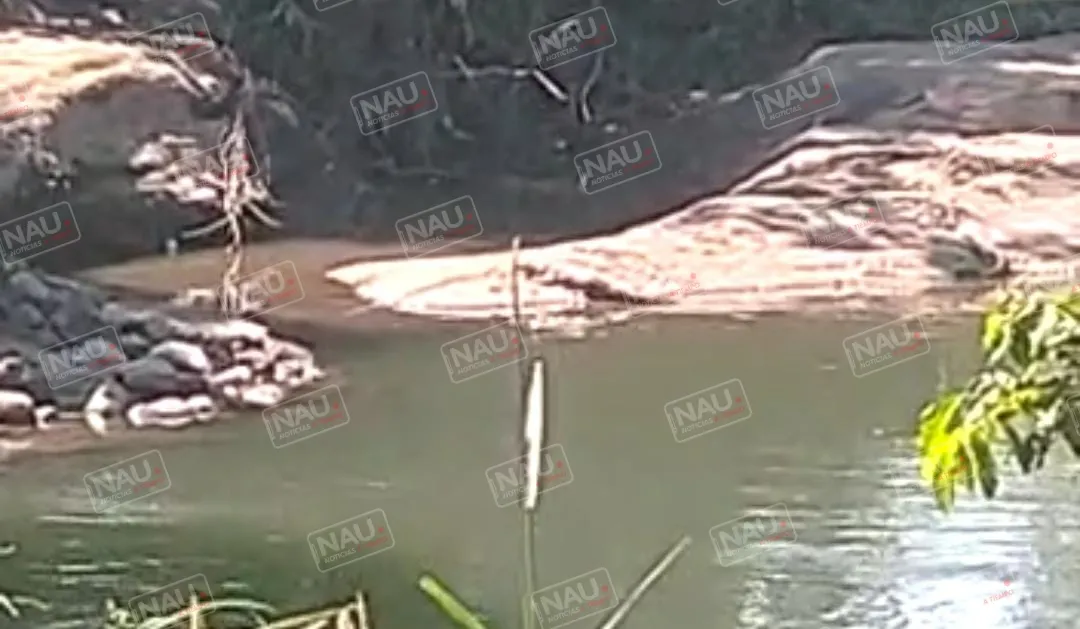 Piden que aseguren dos cocodrilos en el río Cahoacán