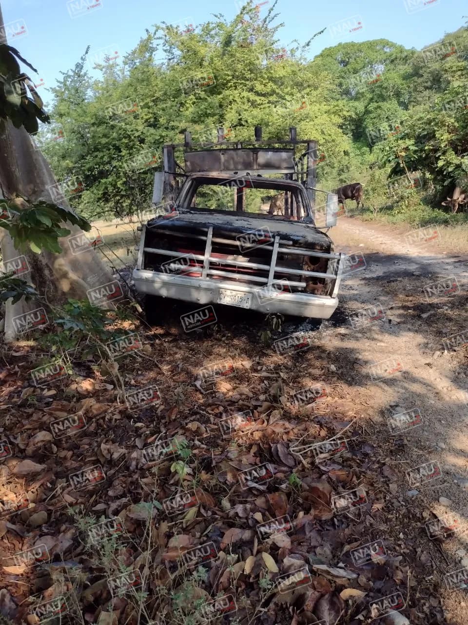 Asesinan y queman a una persona en un vehículo en Mapastepc