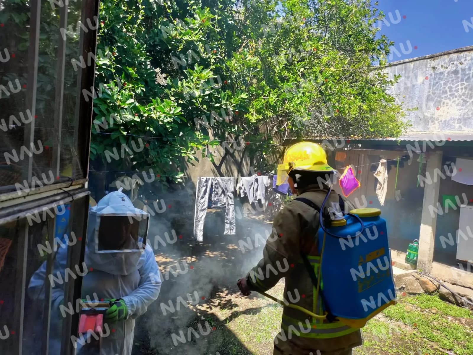 Abejas africanizadas atacan a un grupo de evangélicos en el interior de una iglesia en Cacahoatán