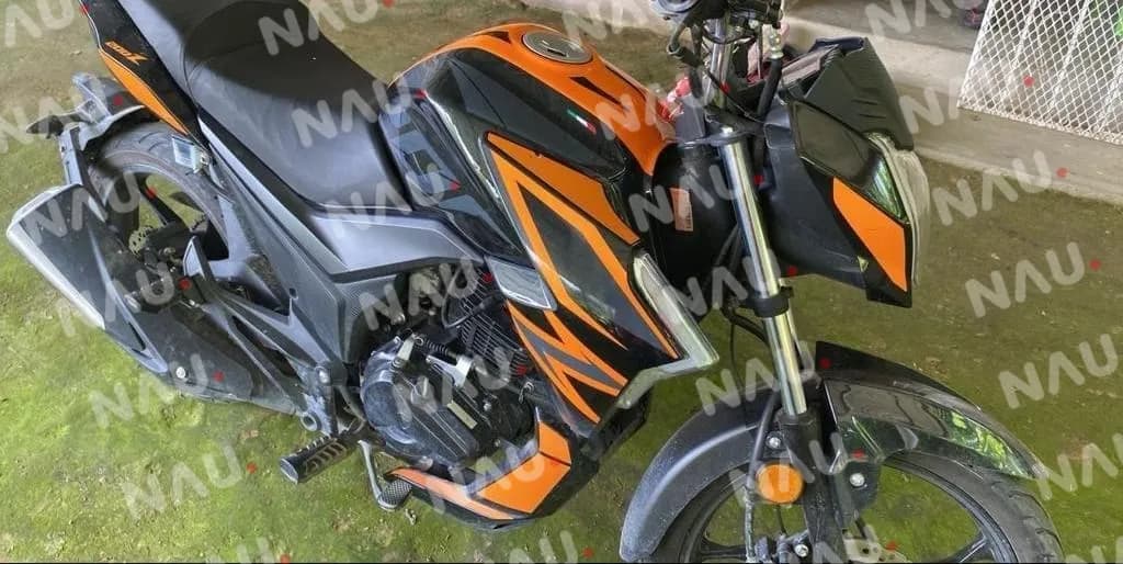 Roban un buey y una motocicleta