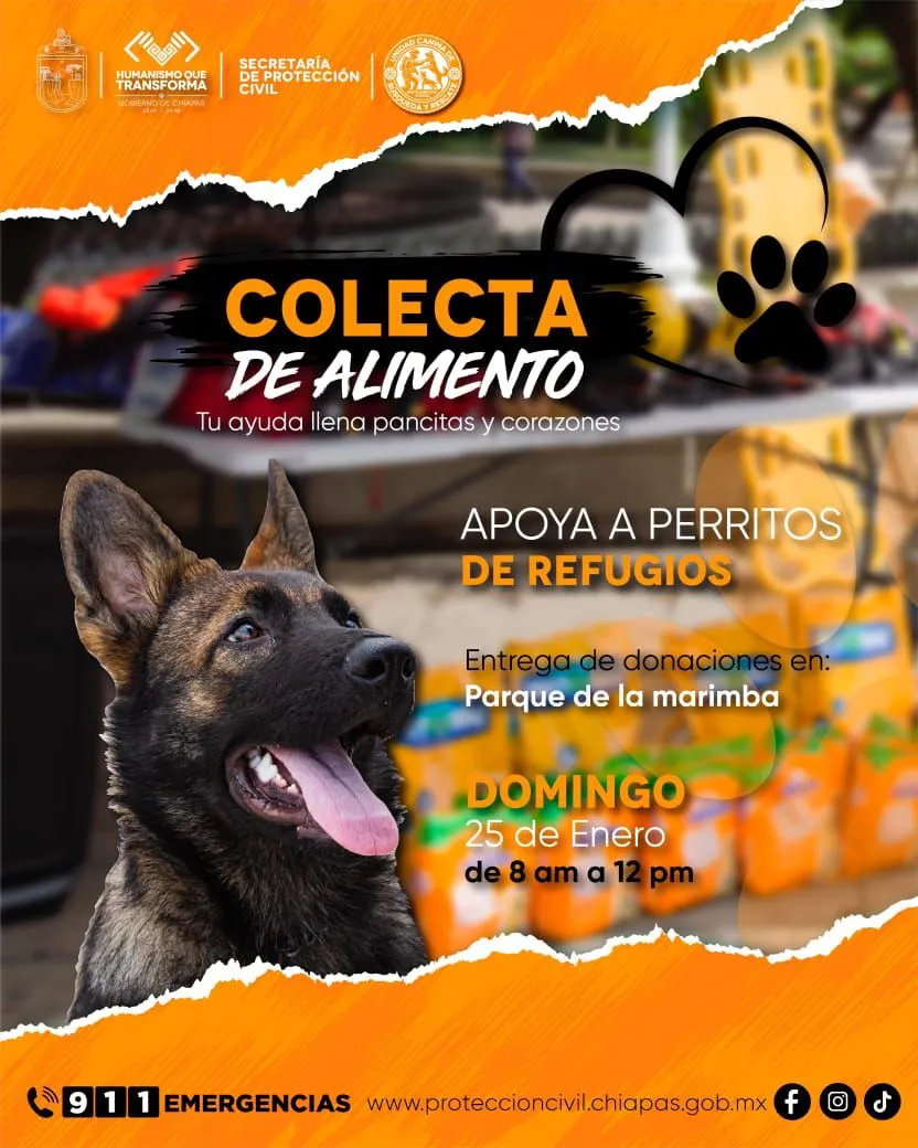 Unidad Canina de Búsqueda y Rescate invita a la colecta de alimento para perritos de refugios