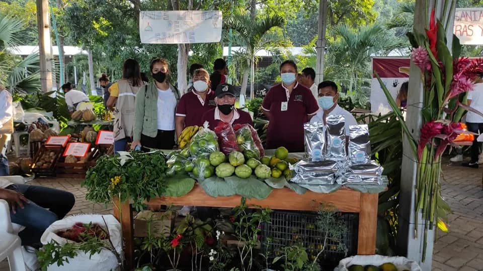 Continúan Ingresando Alimentos Regados Con Aguas Negras Y Abonados Con Pesticidas