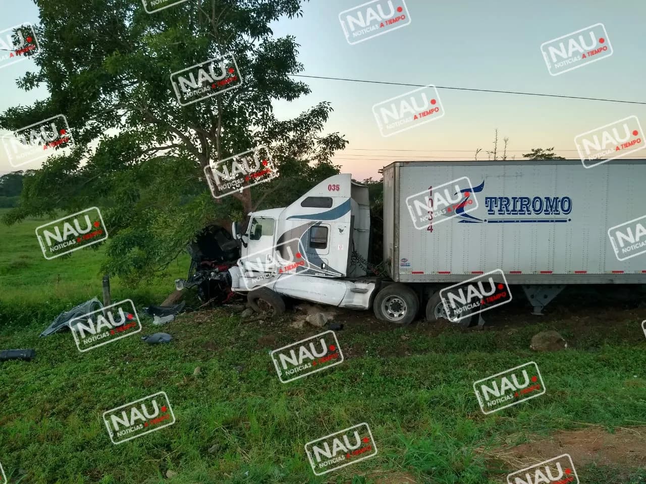 Tráiler cargado de leche chocó contra un árbol al salir de la carretera.