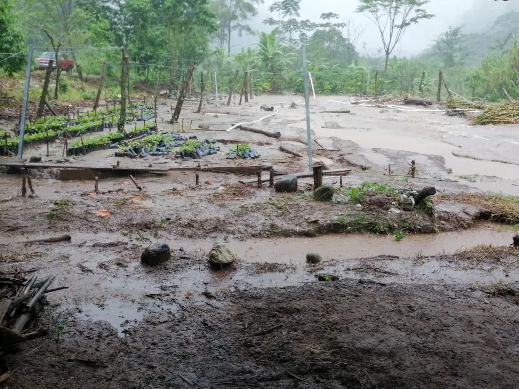 SSyPC participó en traslado de personas afectadas por las lluvias a albergues en el Soconusco