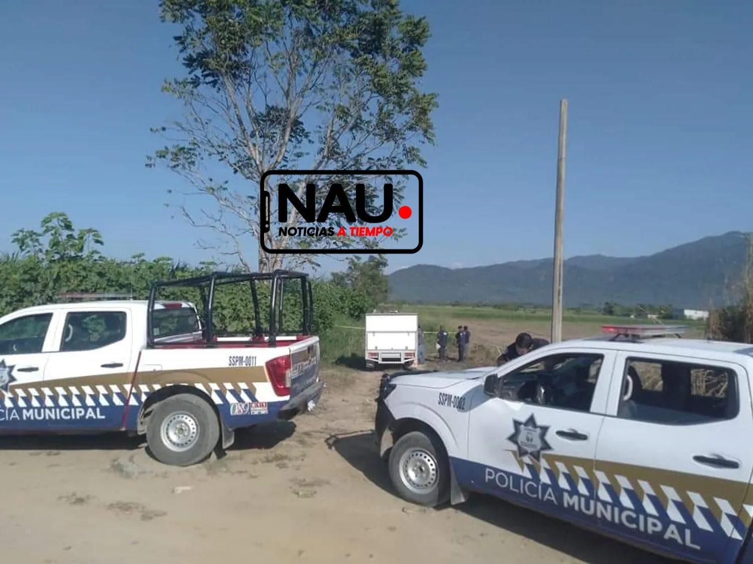 Asesinada a cuchilladas
