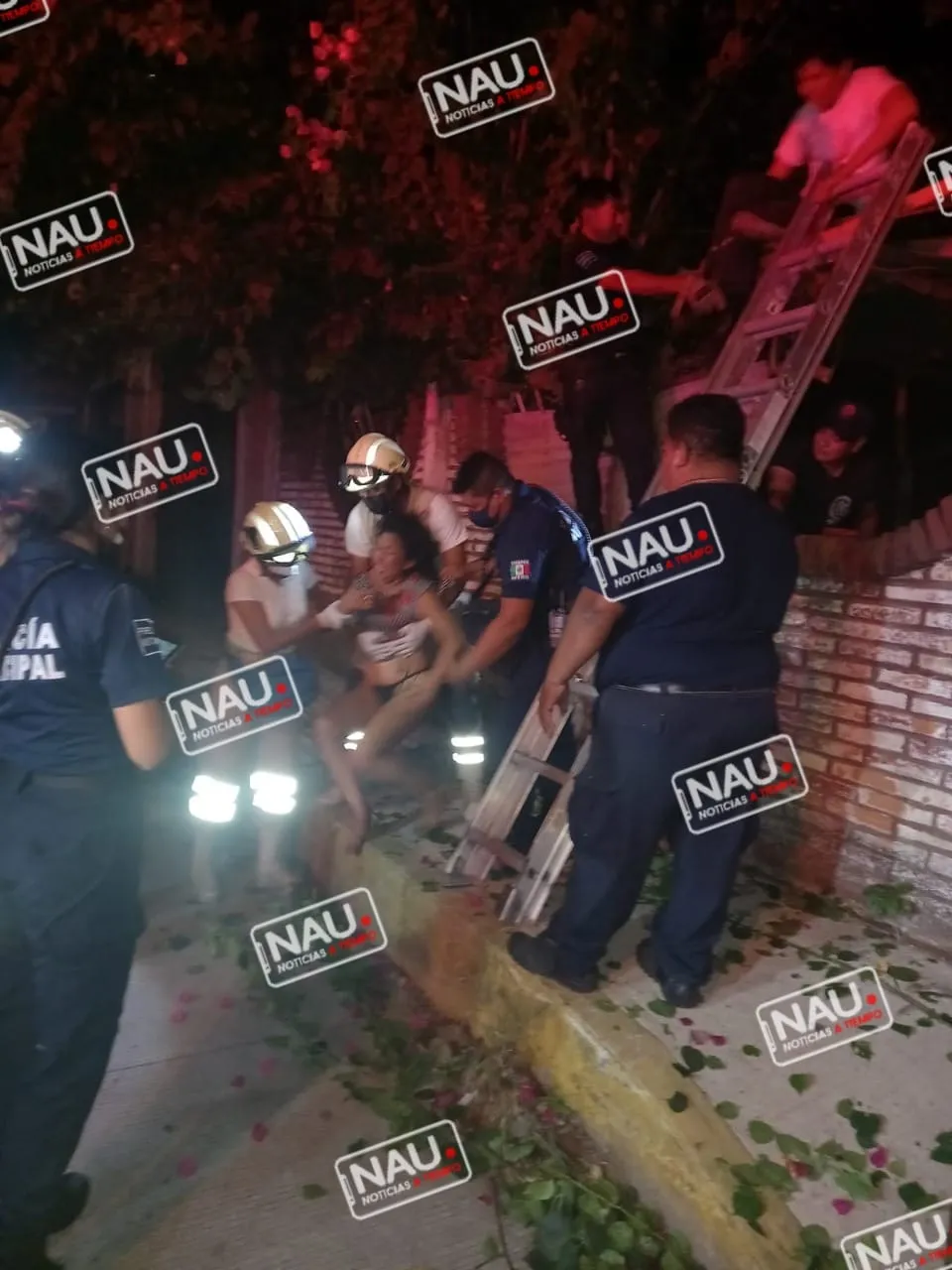 Mujer asustada sube a un árbol de tres metros en Tapachula.