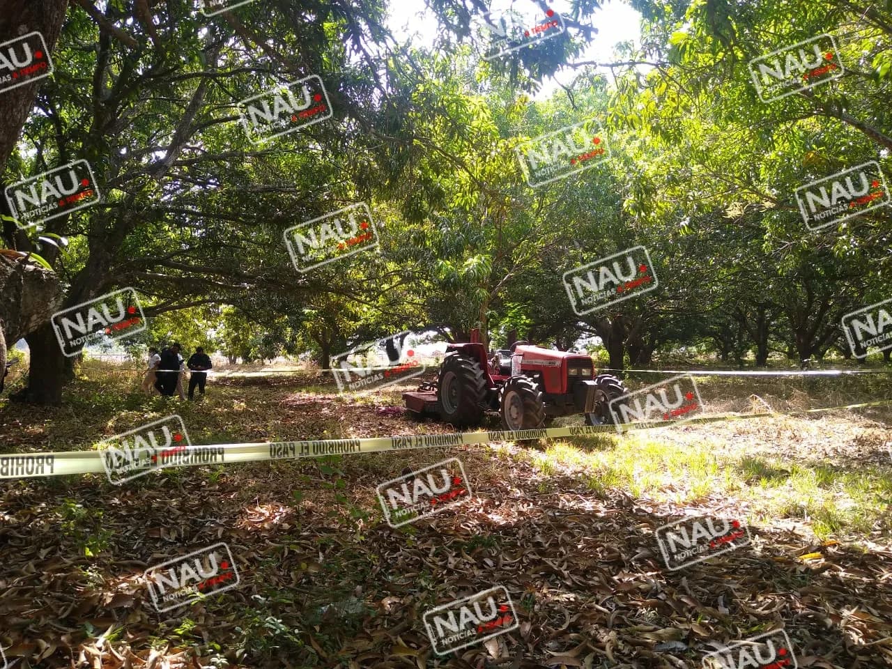 Muere menor tras ser golpeado en la cabeza por una Chapeadora.
