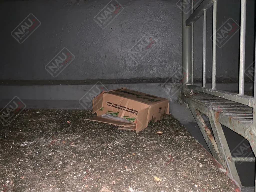 Localizan feto de 22 semanas afuera de un Oxxo en Tapachula