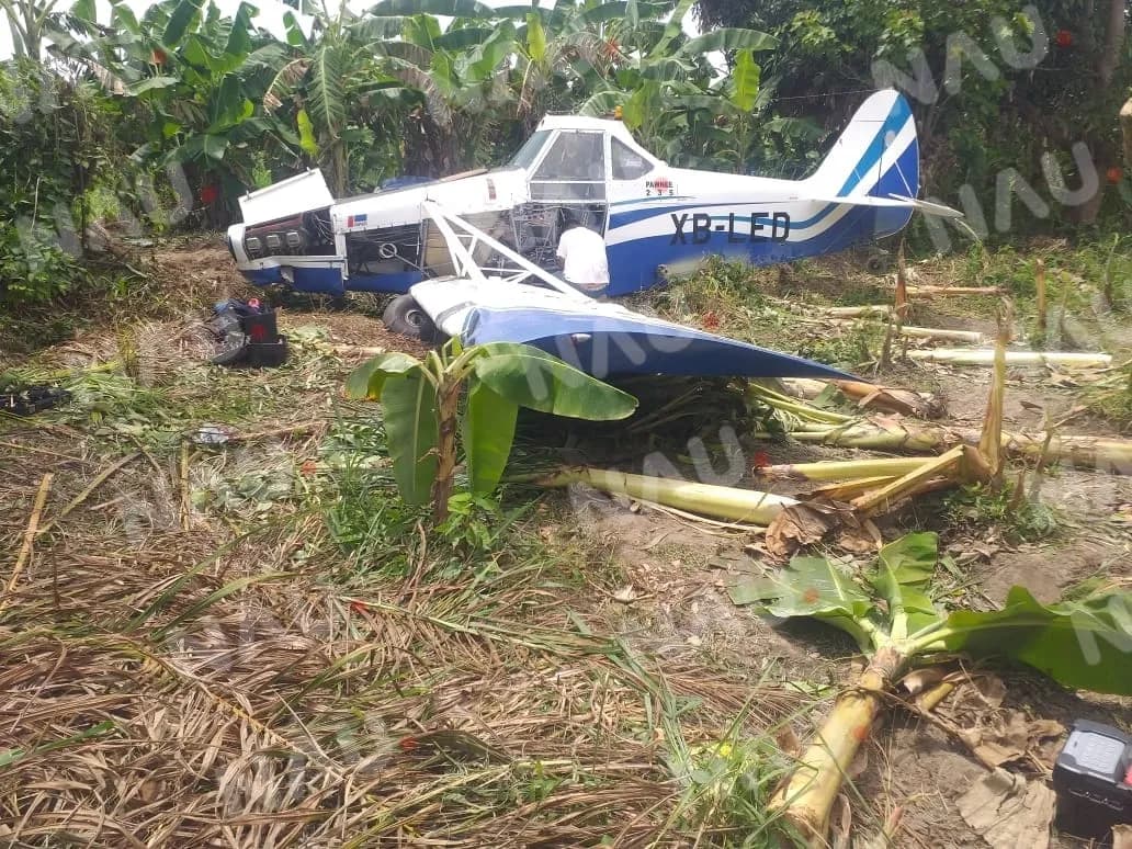 Avioneta fuimugadora aterriza en un predio en suchiate