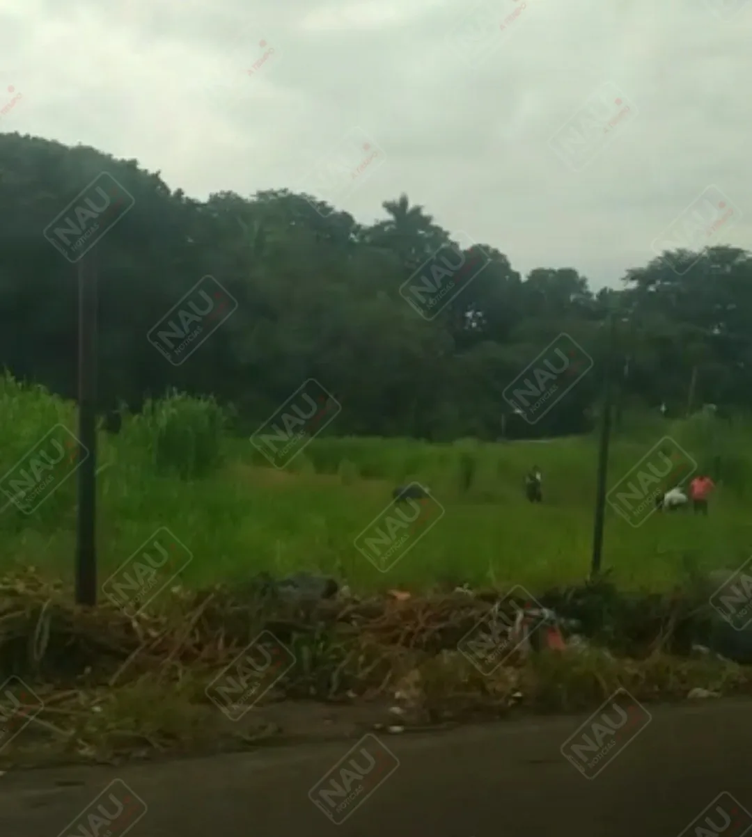 Limpian terreno del campo Necaxa