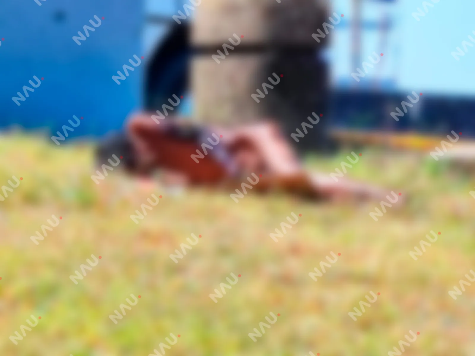 Solo espera la muerte
