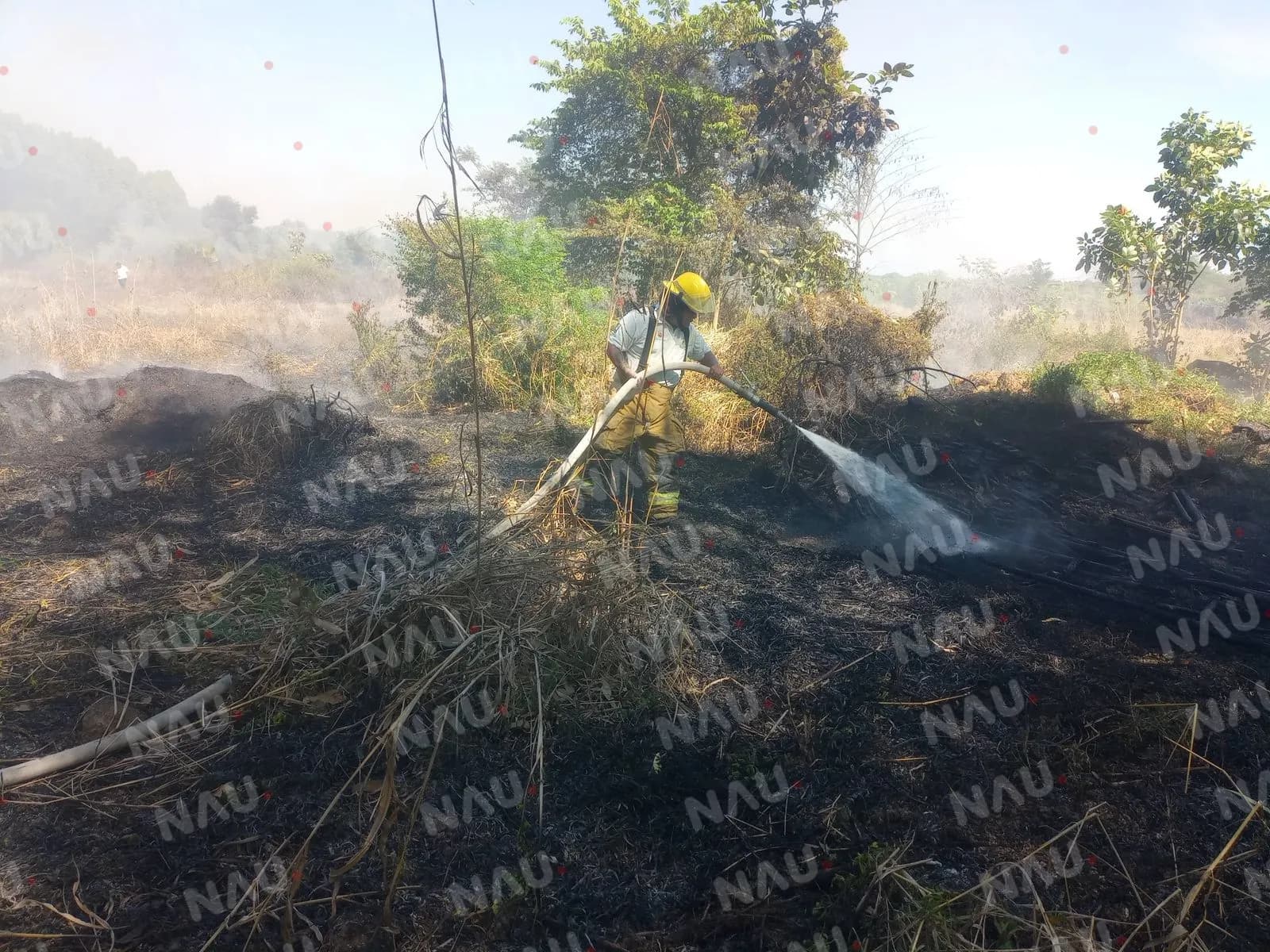 Atiende Protección Civil incendio de pastizal en Tapachula