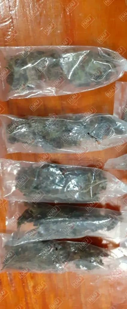 Detienen a sujeto con 5 carrujos de marihuana