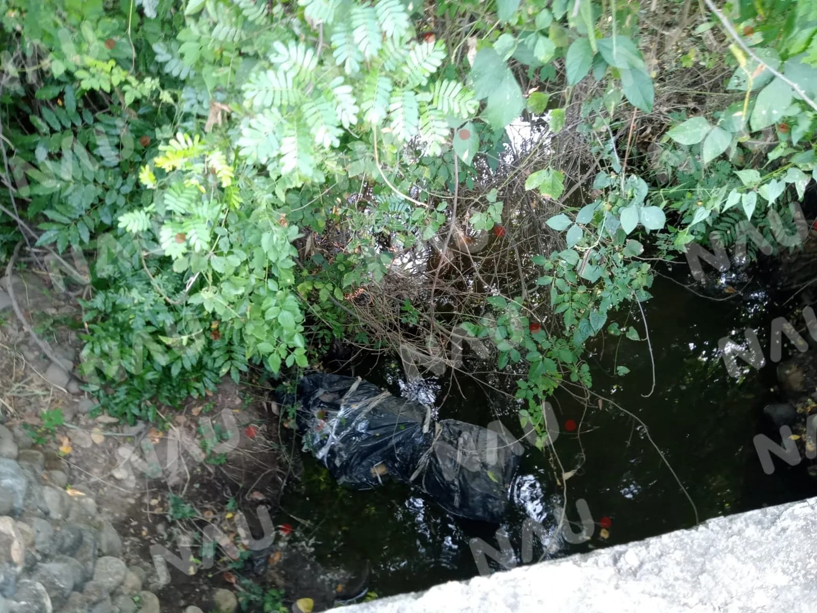 Dejan embolsado un cuerpo en los terrenos del rancho San Roque a 300 metros del libramiento poniente