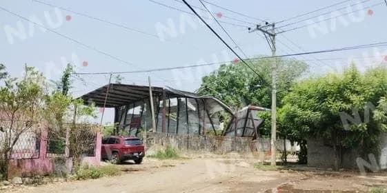 Árbol de ceiba cae sobre techado de una escuela en la colonia Emiliano Zapata