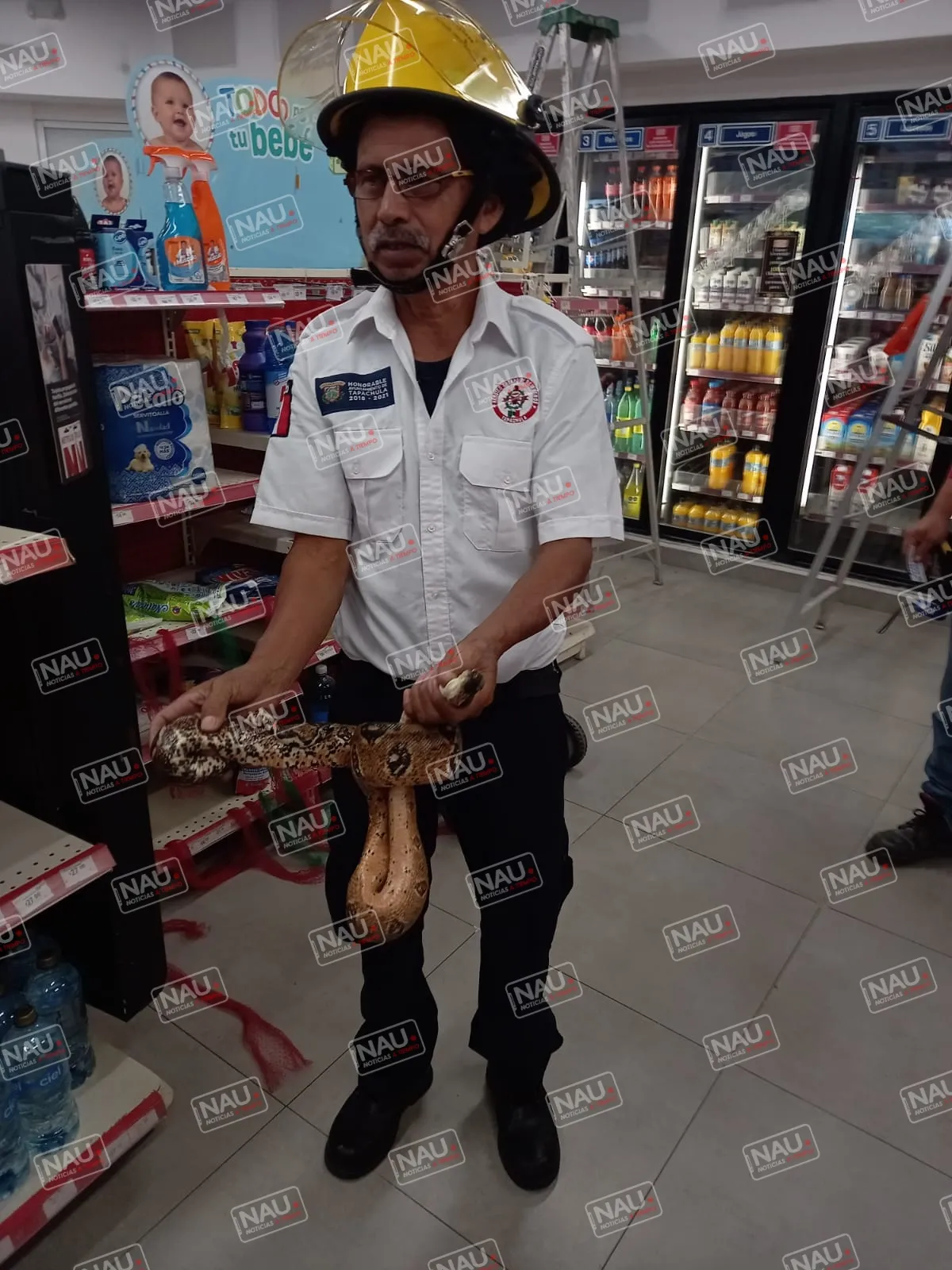Serpiente se metió a una tienda Oxxo