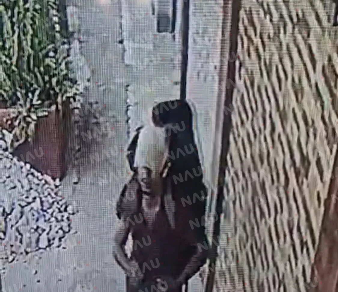 Roban bicicleta en la 5 privada sur en Tapachula: Cámaras captan el hurto