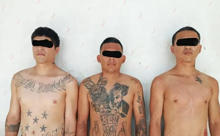 Tres ms 13 centroamericanos detenidos con marihuana