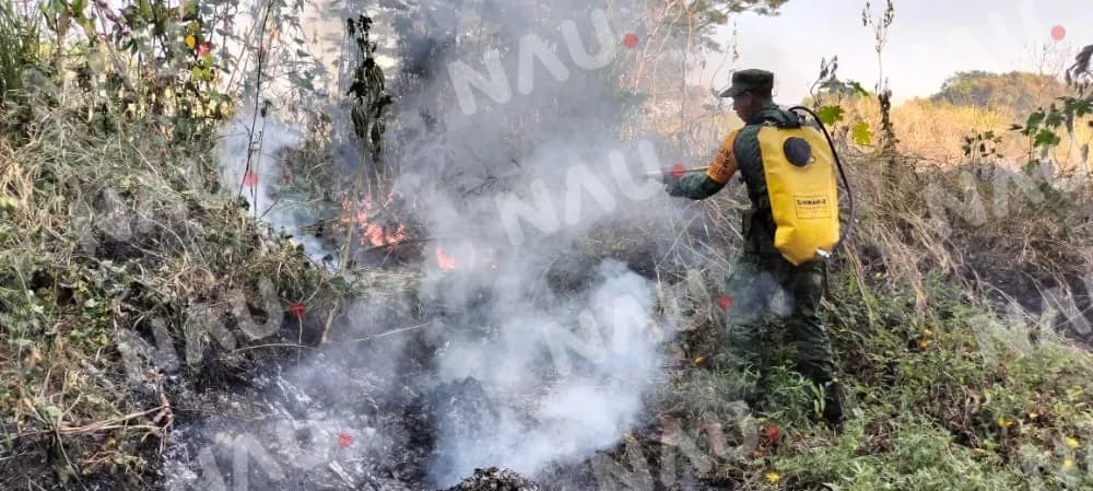 Aplica ejército mexicano plan DNIII en incendio de pastizal