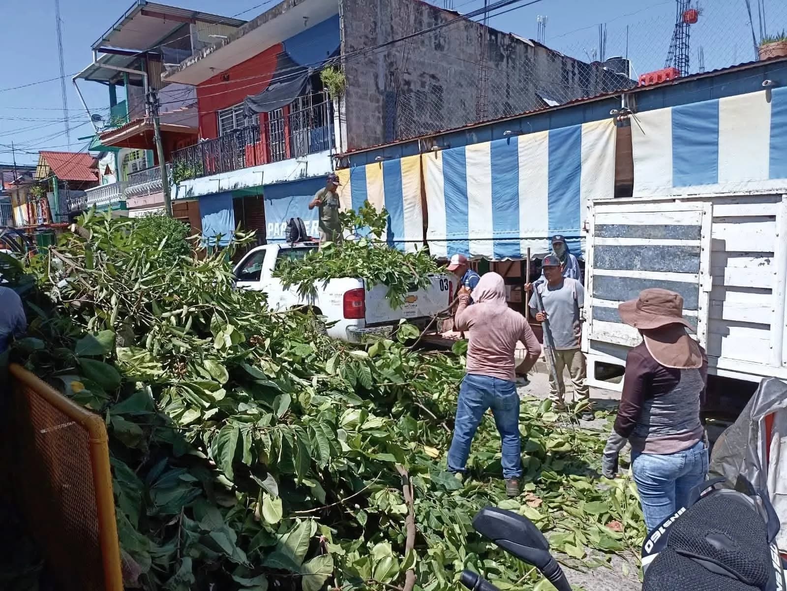 Ayuntamiento de Tapachula, realiza acciones preventivas en Primaria Antonio D´Amiano Cajas