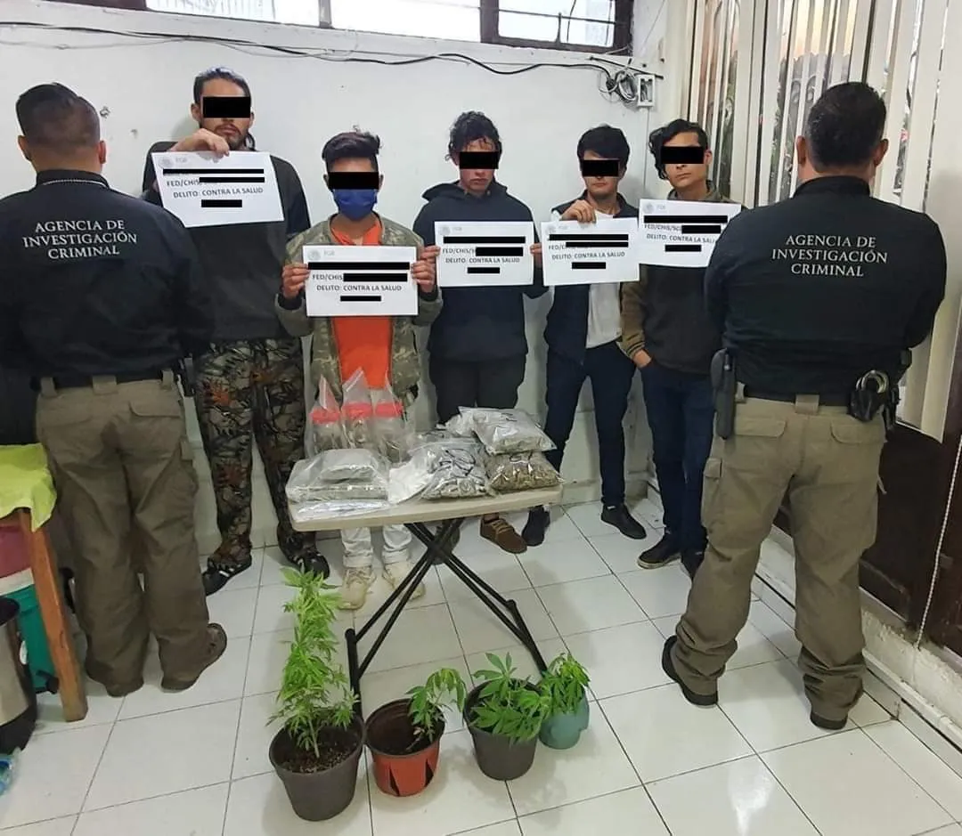 FGR asegura droga en San Cristóbal de las Casas