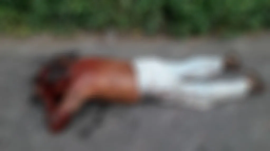 Velador de un rancho bananero fue asaltado y macheteado
