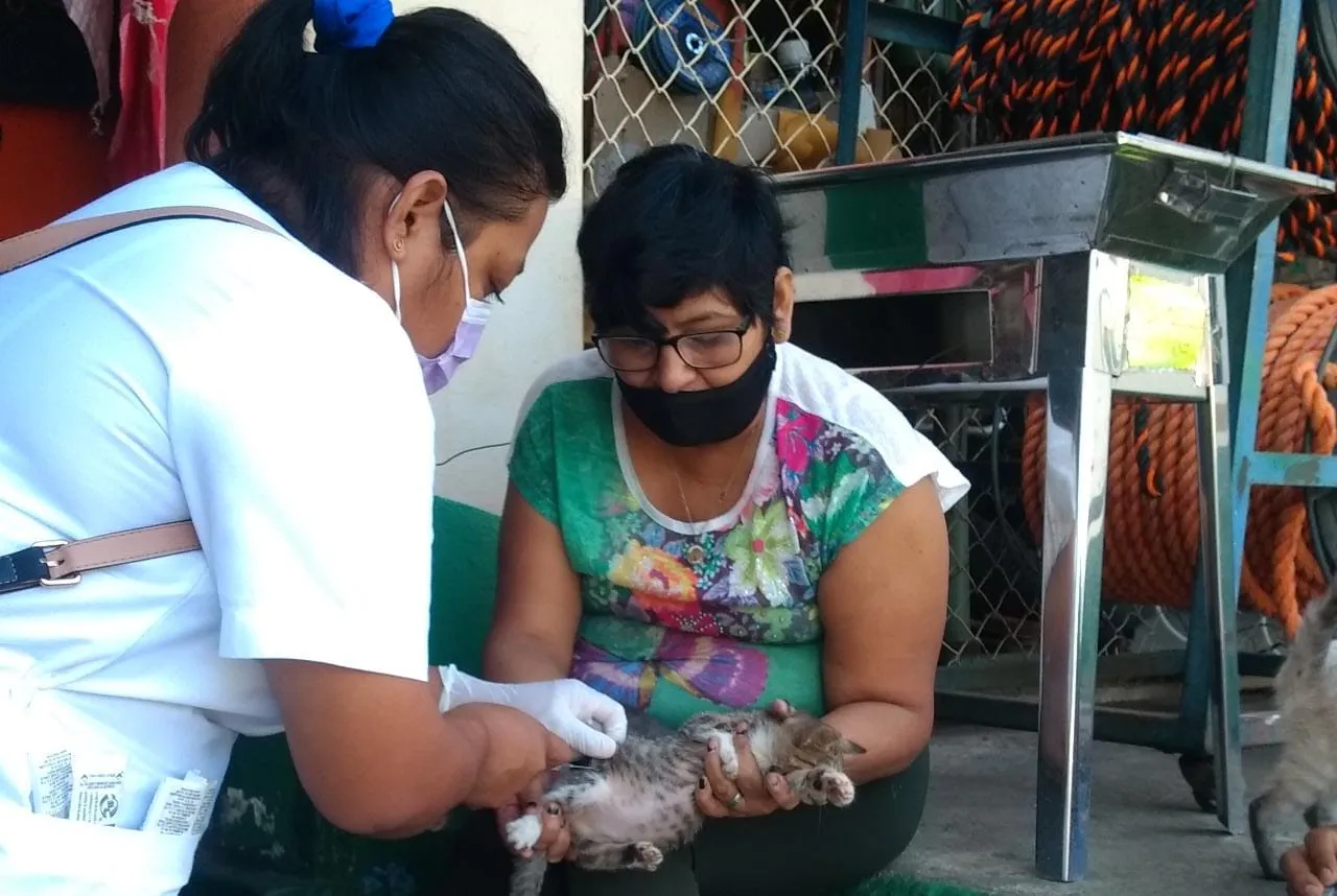 JORNADA INTENSIVA DE VACUNACIÓN ANTIRRÁBICA 2021 RECORRE LAS COLONIAS DE TAPACHULA