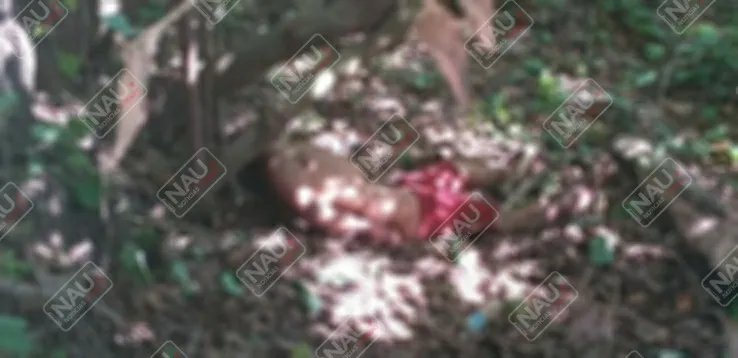 Presunto delincuente fue golpeado y después le metieron un balazo en la yugular