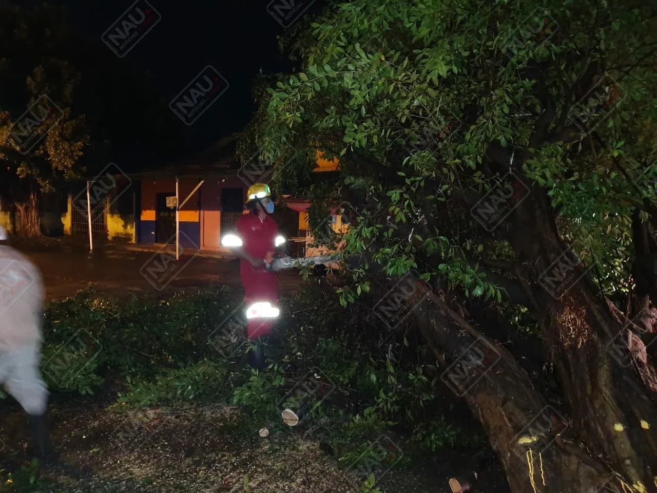 Del sábado hasta el lunes, 13 árboles se cayeron por lluvias y fuertes vientos