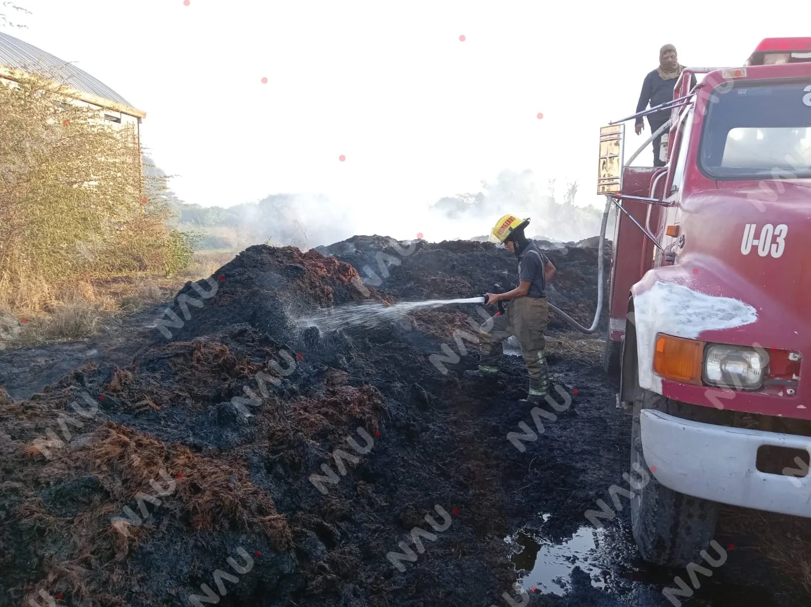 Bomberos y Marina atienden incendio de pastizal en la colonia El Encanto