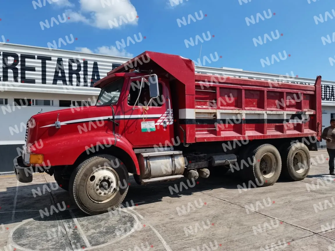 Aseguran 70 trozos de madera que era transportado en un camión de volteo