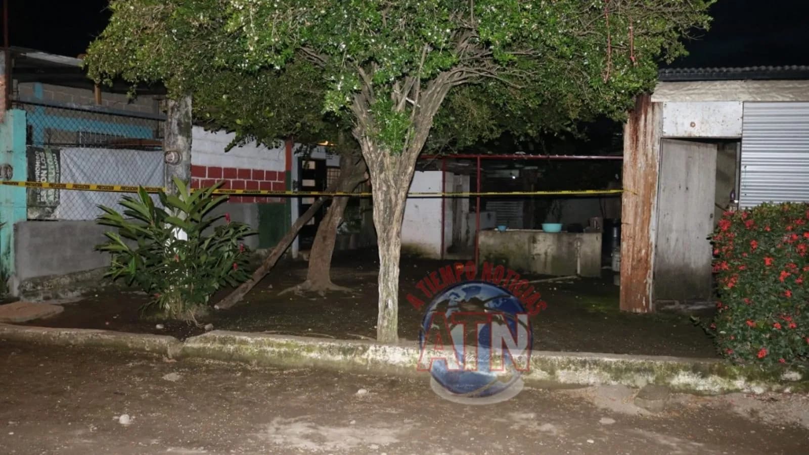 Se ahorcó en un árbol de papause