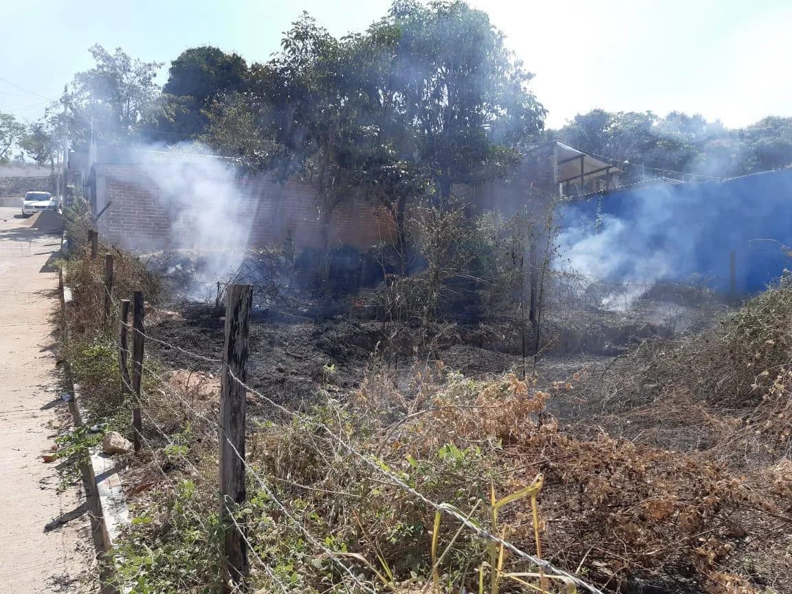 Detiene Fiscalía a persona por delito de ecocidio en la Frailesca