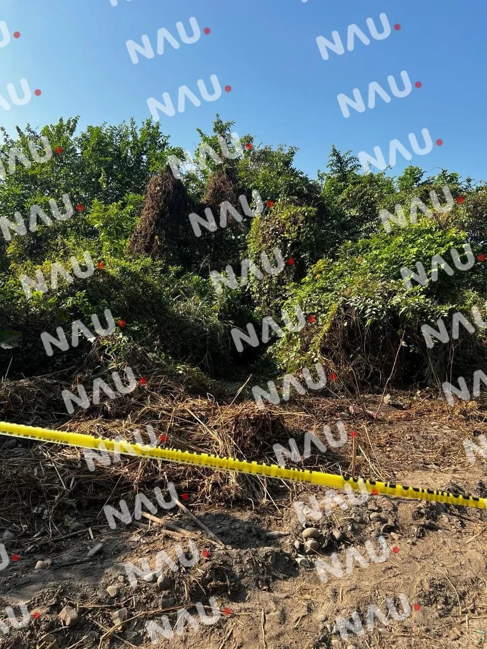 “Vídeo” Encuentran cadáver en carretera hacia Mazatán