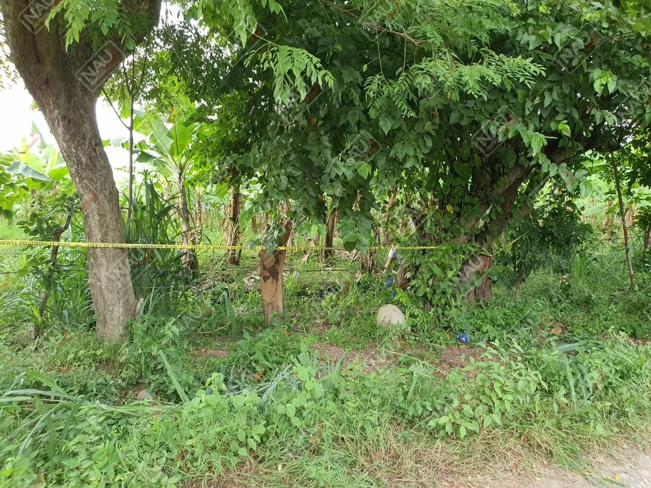 Pleito entre maras y barrio 18, fue el ajuste de cuenta en un rancho en la zona baja