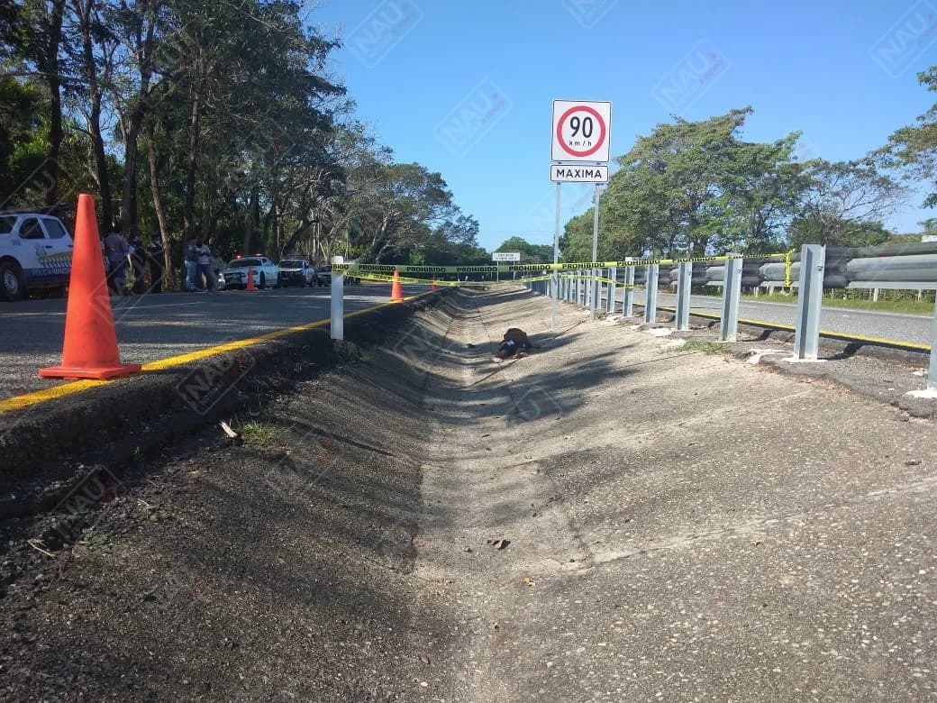 Un vehículo no identificado atropelló a una persona, falleció en el lugar de los hechos