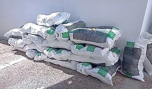 DESTRUYE FGR MÁS DE 700 MIL KILOS DE MATERIAL APÓCRIFO EN CHIAPAS