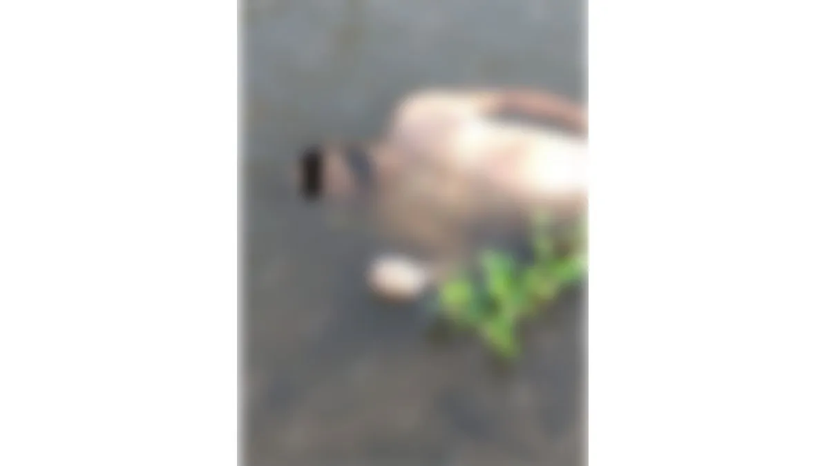 Localizan muerta a una persona en el río Suchiate