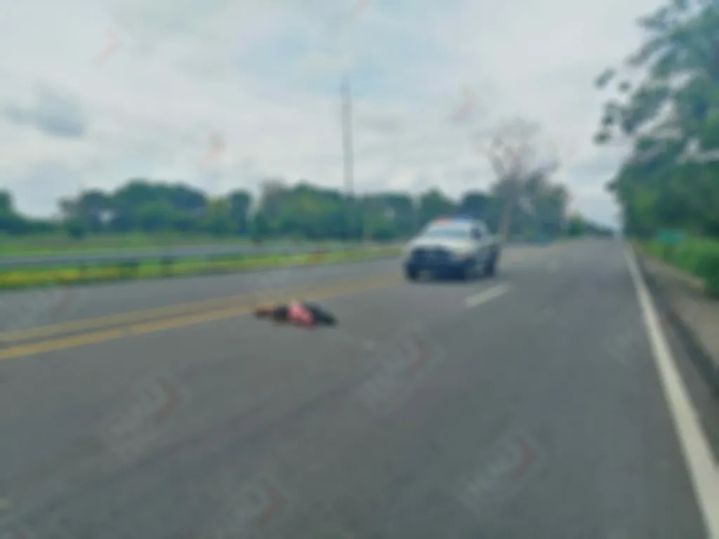 Falleció al ser atropellada por un vehículo que se dio a la fuga