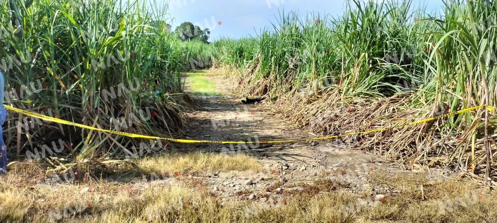 Asesinan a una persona rumbo al cantón Playa Grande