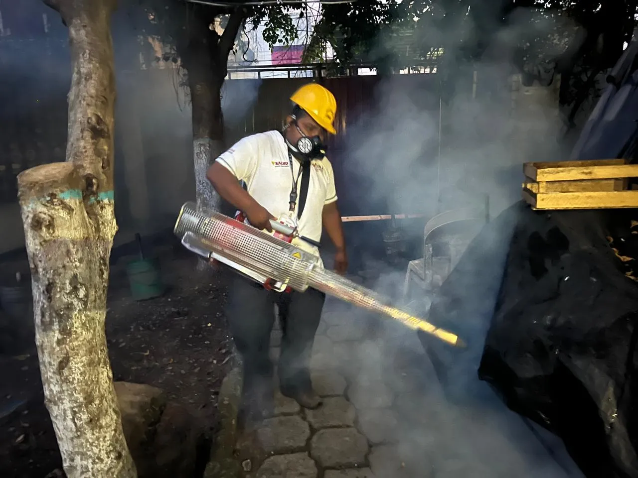 Instruye Yamil Melgar reforzar combate contra el Dengue