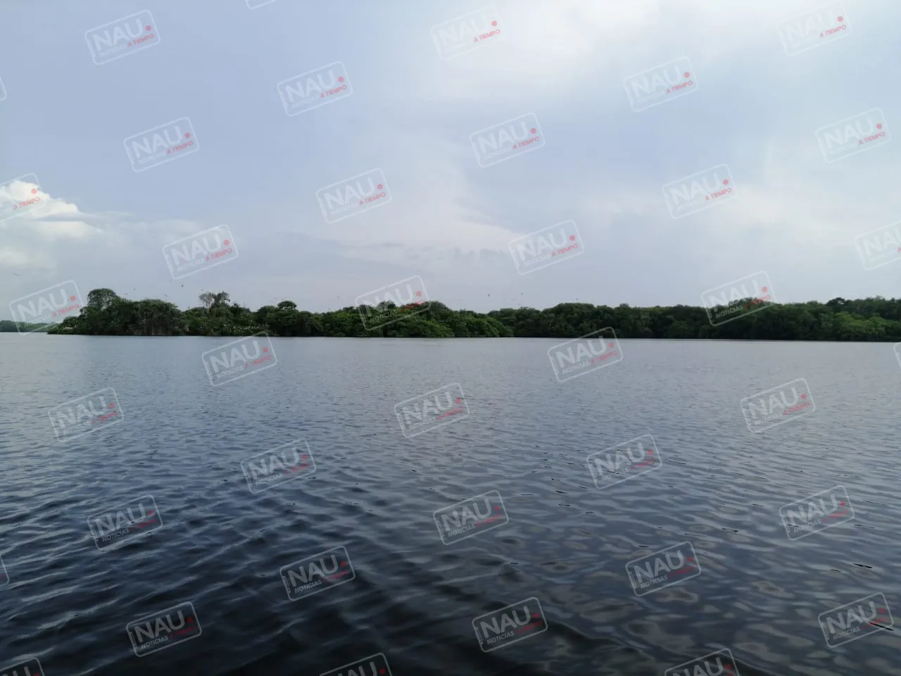 Localizan un cuerpo en la Pampa Cabildo de Puerto Madero