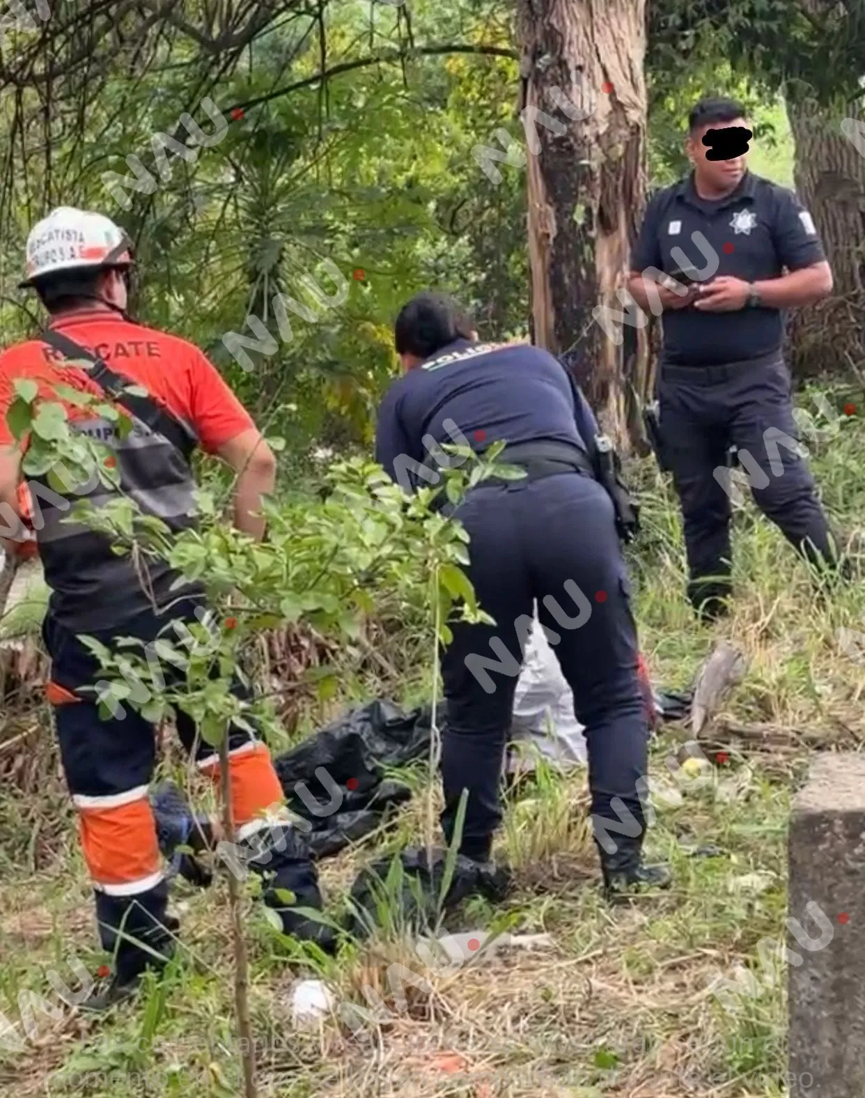 Confunden a dormilón con embolsado en la Costera