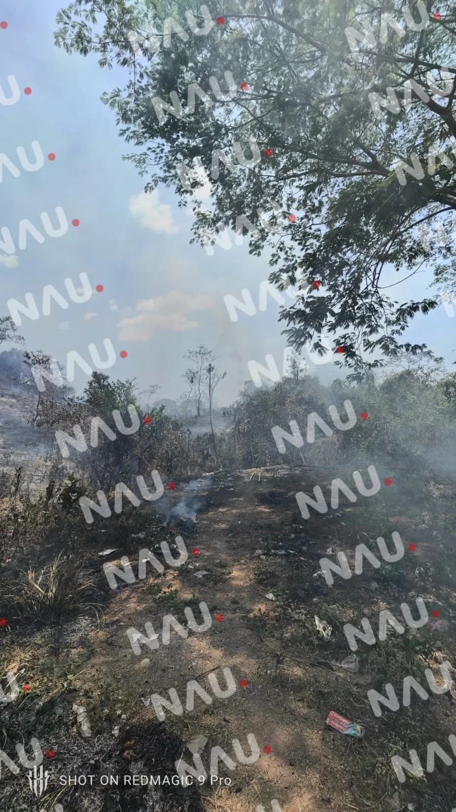 Incendio en la Colonia Lomas de Chiapas causa preocupación entre los residentes